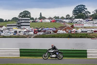 Silver_Grey Bikes